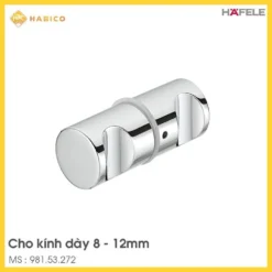 Tay Nắm Cho Cửa Kính Hafele 981.53.272
