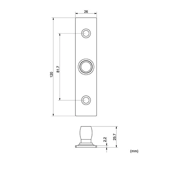 Thông số kỹ thuật Phụ kiện bản lề sàn 01